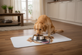 Customized pet dining area mats